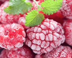 Fruta Congelada